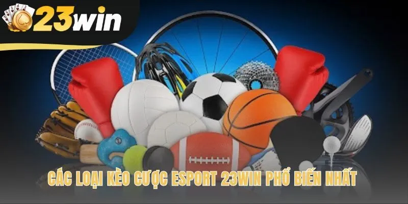 Hiểu rõ các loại kèo cược Esport 23win giúp bạn đặt cược tự tin
